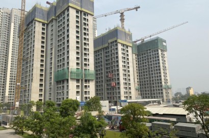 Phân khúc bất động sản nào tăng giá cao nhất thời gian qua?