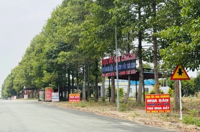 Nhà đầu tư tỏa đi khắp nơi 'săn' nhà đất