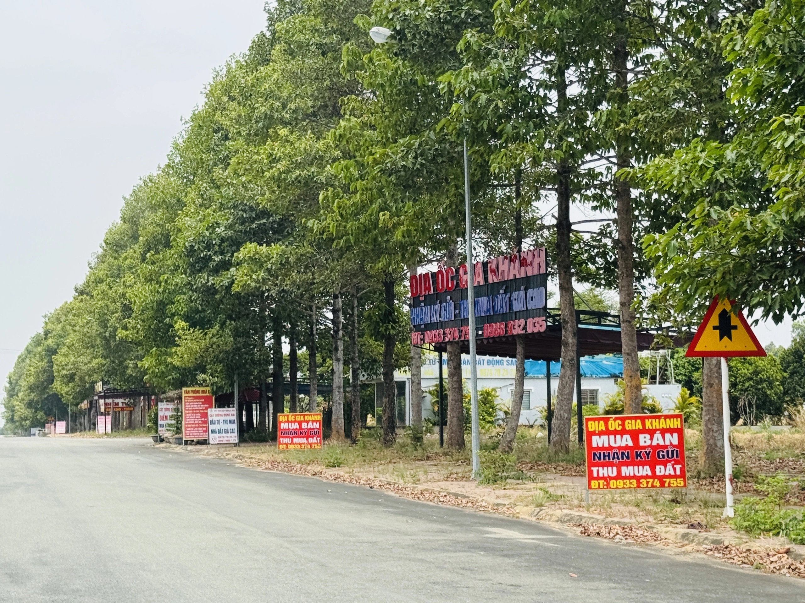 Nhà đầu tư tỏa đi khắp nơi 'săn' nhà đất