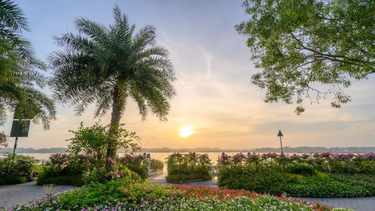 Môi trường sống - Ưu tiên hàng đầu khi lựa chọn mua bất động sản hiện nay