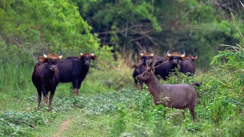 Đồng Nai sẽ biến khu bảo tồn thành trung tâm du lịch sinh thái lớn nhất Đông Nam Bộ