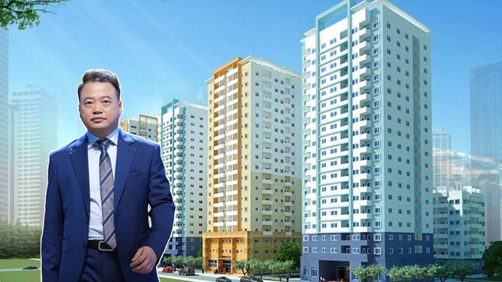 Hé mở về Công ty Bất động sản NextLand liên quan vụ án Shark Bình