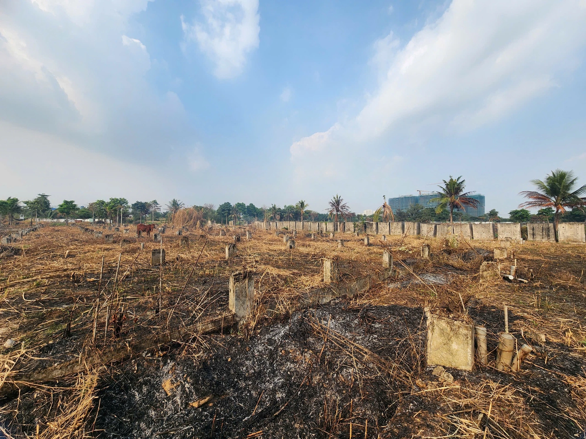 Để không bị lừa khi mua bán bất động sản, người dân cần đọc những điều này