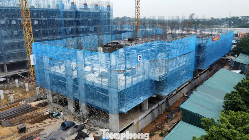 Hướng dẫn mới nhất xác nhận thu nhập mua NOXH cho lao động tự do